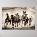 Pesquisar por cavalo fotografia Perseguição