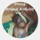 Pesquisar por dos activistas Animais