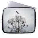 Pesquisar por corvo laptop sleeves Arte