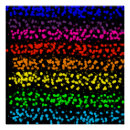 Pesquisar por amor da paz pôsteres Arco íris
