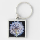 Pesquisar por semente chaveiros Dandelion