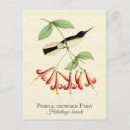 Pesquisar por flor de trombeta cartoes postais Vintage