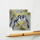 Pesquisar por magpie Australiano