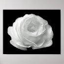 Pesquisar por floral preto e branco pôsteres Qualquer pessoa