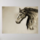 Pesquisar por desenho do cavalo pósteres pôsteres Oeste