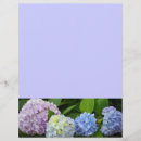 Pesquisar por hydrangeas azul púrpura Verde