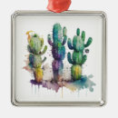 Pesquisar por cactus ornamentos Suculento