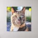 Pesquisar por personalização impressão de canvas Personalizar