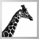 Pesquisar por carvão animal For kids