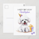 Pesquisar por frise do bichon cartoes Cachorro