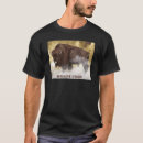 Pesquisar por lakota sioux camisetas Nativo