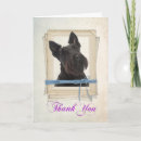 Pesquisar por terrier escocês cartoes Animal