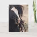 Pesquisar por cavalos selvagens mustang cartoes Pinto
