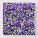 Pesquisar por viola relogios de parede Flor