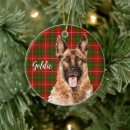 Pesquisar por xadrez verde ornamentos Cão de estimação