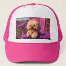 Pesquisar por filhote de cachorro bones Cachorrinho