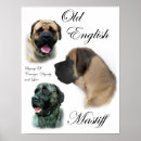 Pesquisar por mastiff inglês pôsteres Cães