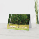 Pesquisar por sheep cartoes Lambs