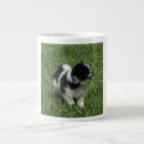 Pesquisar por pomerania canecas Fluffy