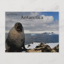 Pesquisar por a antártica cartoes postais Montanhas