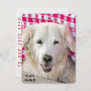 Pesquisar por hot dog convites Piquenique