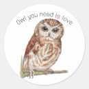 Pesquisar por javali adesivos Naturete