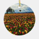 Pesquisar por tulips ornamentos Primavera