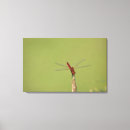 Pesquisar por tronco impressão de canvas Natureza