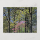 Pesquisar por ambiente cartoes postais Natureza