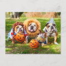 Pesquisar por engraçado gato cartoes postais Halloween