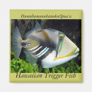 Pesquisar por ilhas havaianas imas Hawaii