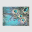 Pesquisar por olhos azuis papeis de seda Qualquer pessoa