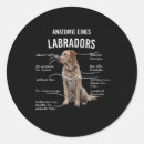 Pesquisar por cão engraçado adesivos Cachorrinho