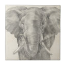 Pesquisar por animais do safari azulejos Elefante