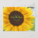Pesquisar por save the date postcard convites Noivado