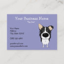 Pesquisar por collies beira de cartao de visita Cão