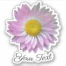 Pesquisar por selo cor de rosa da flor Para eles