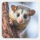 Pesquisar por natureza selvagem adesivos Animal