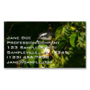 Pesquisar por pássaro amarelo cartao de visita Natureza