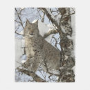 Pesquisar por lince Animais selvagens