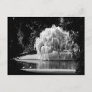 Pesquisar por ilha bainbridge cartoes postais Washington