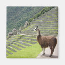 Pesquisar por machu picchu imas Fotografia