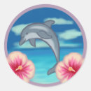 Pesquisar por dolphin adesivos Oceano