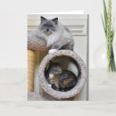 Pesquisar por friendship cartoes postais Photography