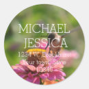 Pesquisar por hummingbird adesivos Aves