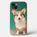 Pesquisar por cute baby iphone capas Queen elizabeth's