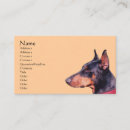 Pesquisar por pinscher Animal