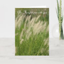 Pesquisar por conde cartoes postais Grupo