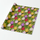 Pesquisar por tulipa papel de presente Chic