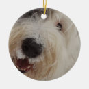 Pesquisar por peludo ornamentos Bonito